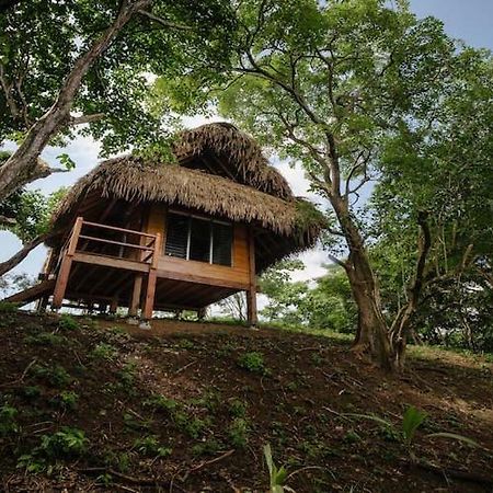 Eco Venao Lodge, 플라야 베나오 외부 사진