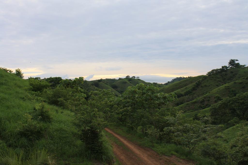 Eco Venao Lodge, 플라야 베나오 객실 사진